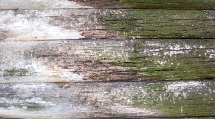 en dan gelukkig de witte variant.