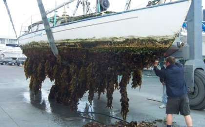 Zo erg was het gelukkig niet.