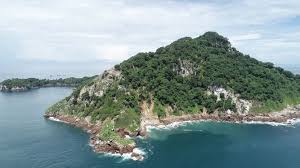 Otoque