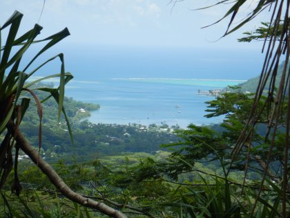 Overzicht vanaf het hoogste punt naar de Cook Bay
