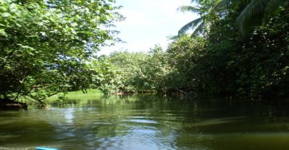 Grootste rivier van Polynesie