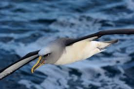 Om 11.30 begint de dag.