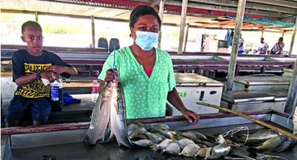 Deze foto laat nog vis zien, maar dat is meestal niet het geval.