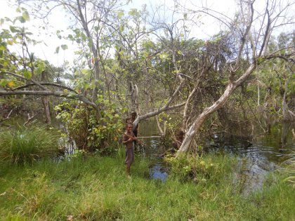 Jong geleerd, oud gedaan