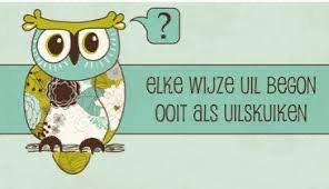Een uiltje vangen.