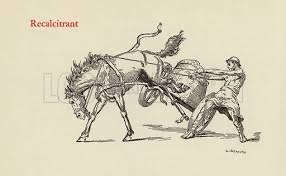 Ik voel me zoals het paard.