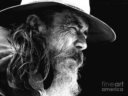 Bushman