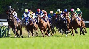 Gokken op de paardenrace