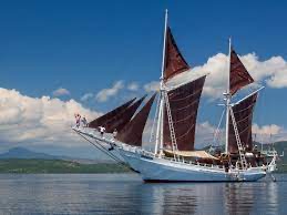 speciale cruise schepen