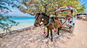 eiland transport