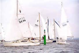 Vega regatta