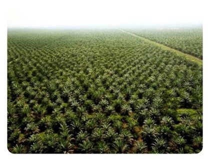 plantages